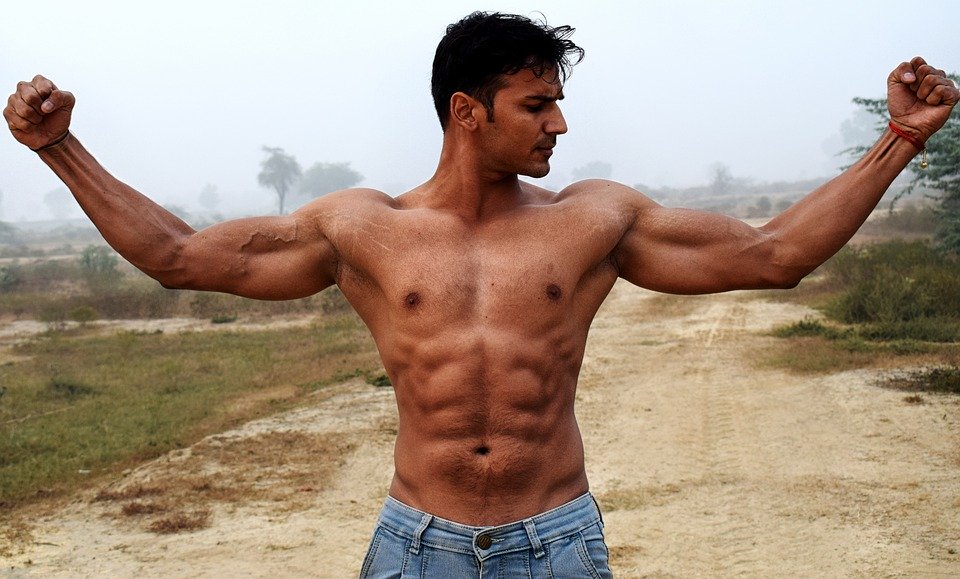 bodybuilding